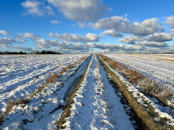 La photo est trompeuse, la traversée du plateau agricole n'est pas très longue, et nous rejoignons rapidement la route de Bosville.