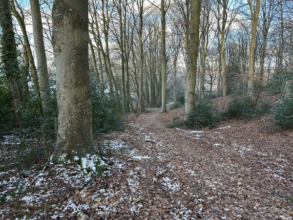 Nous quittons rapidement la route de Bosville pour descendre dans la vallée de la Durdent.
