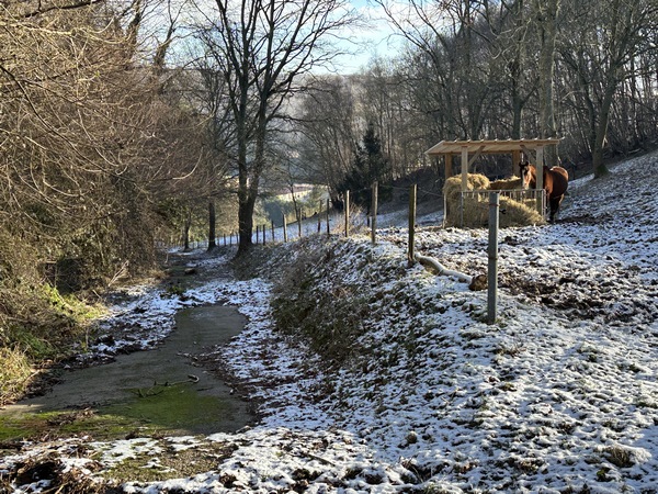 Pas d'inquiétude, la photo du paysage enneigé est trompeuse : c'est une descente facile, le chemin est bitumé et simplement recouvert d'humus.&nbsp;