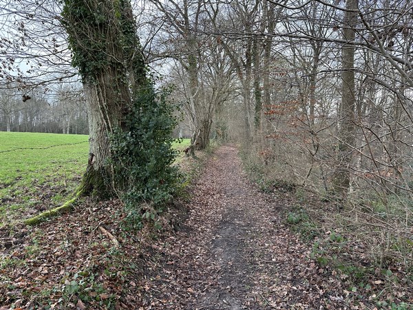 Nous entrons maintenant dans les bois de Champs Ramon (Charamonts) et de l'Arquerie, qui couvrent les coteaux du dour de l'Arquerie. Tous ces bois sont des vestiges de l'antique forêt du Vièvre (Où, d'après la légende, vivait une vouivre).
