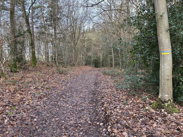 Nous rejoignons le chemin des Hautes Terres qui relie Saint-Benoît au Haut-Livet.
