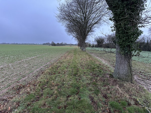 Je traverse, sous la pluie, des paysages de la campagne entre Neuville-sur-Authou et St-Victor-d'Epine.