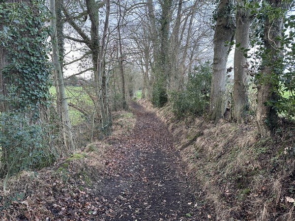 Le long chemin entre le bois de la Houssaye et Neuville-sur-Authou est très agréable, bordé de petits bois, de prairies, de champs.