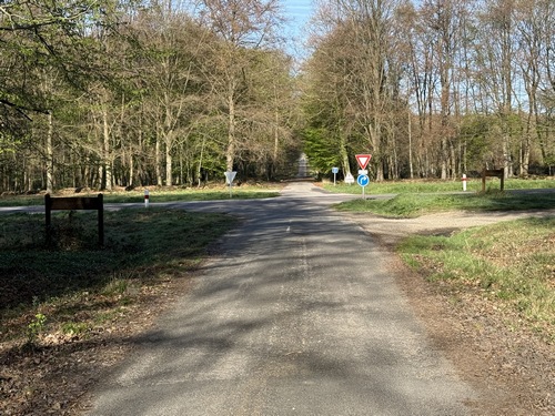 La route forestière des Fiefs Mancels est le seul passage vraiment bitumé de ce circuit. Je vais traverser la dangereuse D6015, pour suivre la route forestière du Loup.