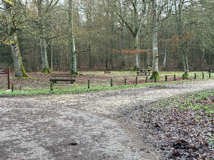 Je pars de l'aire des Quatre Bancs, et prends la direction de l'est sur la voie forestière des Longues Raies.