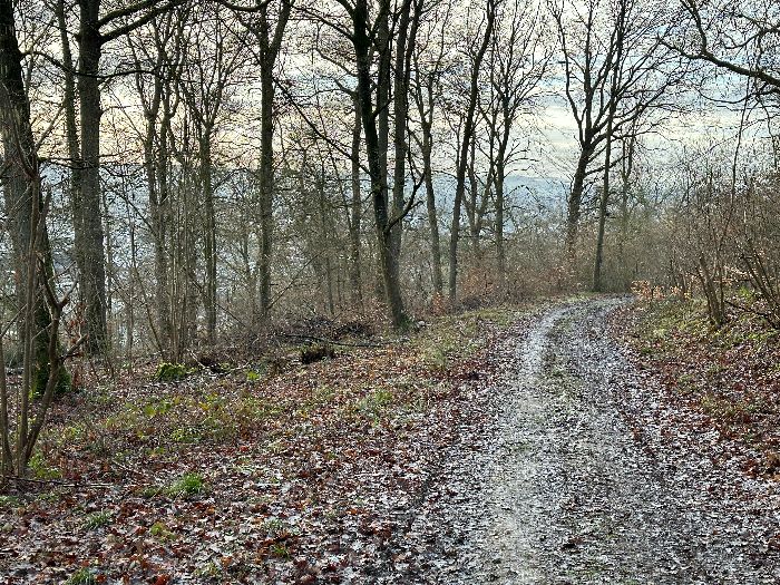 En approchant de Louviers, on commence à capter l'ambiance sonore industrielle d'Incarville, et des sons de cours de récréation.