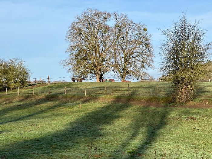 Je longe le Centre Equestre de Louviers, dont quelques chevaux prennent le soleil de février.