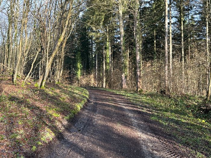 Je continue sur le Chemin des Fossés, mais je vais tourner vers le nord avant le hameau.