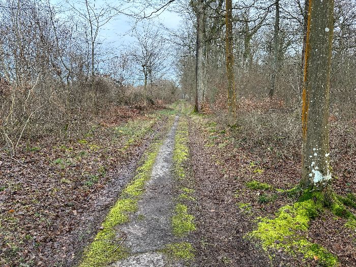 Je ferme la boucle par ce sympathique chemin de coupe entre les parcelles 283 et 284.