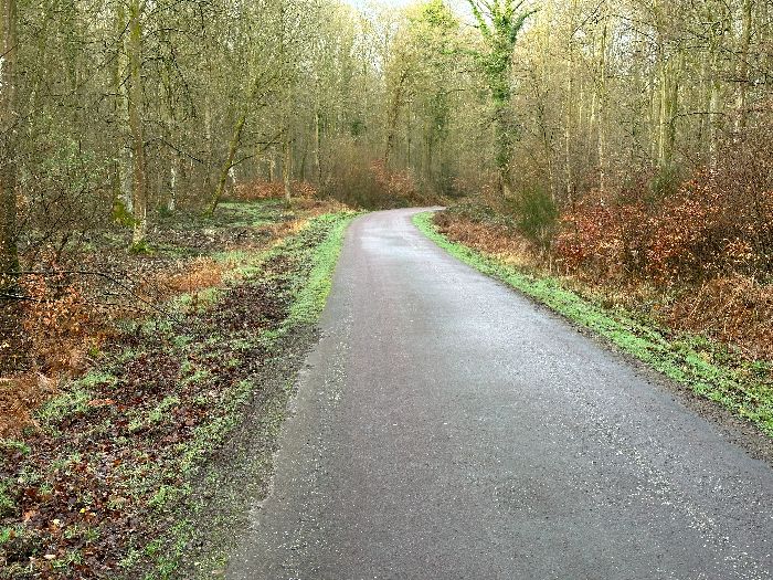 Je prends ici la route forestière de Jumièges. Je connais un chemin parallèle au nord, mais impraticable en cet hiver pluvieux.