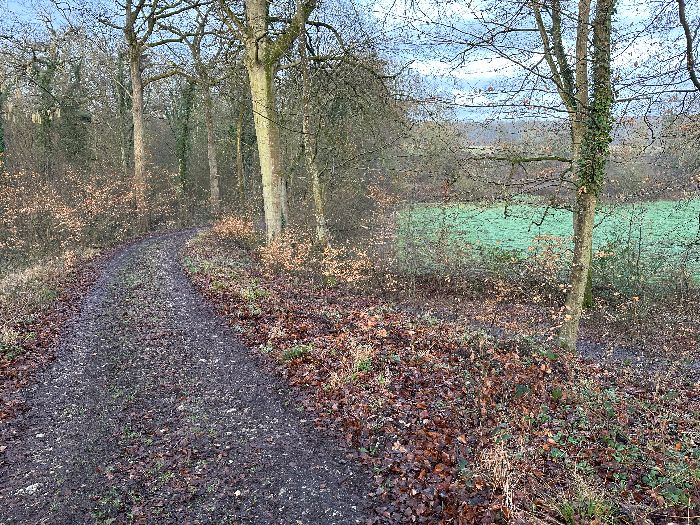Je longe maintenant la clairière qui entoure l'ancien prieuré du Torps. Un chemin permet de faire l'aller retour jusqu'au prieuré pour ceux qui ne connaissent pas.