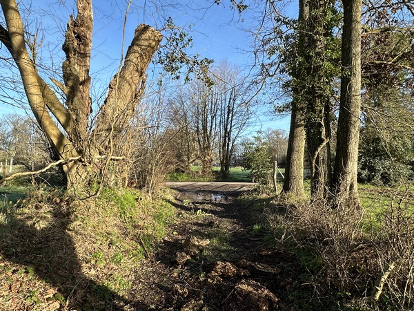 Nous débouchons sur la petite route Cavée du Renard, nous allons la prendre à gauche.
