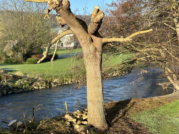 Nous quittons la Voie Verte et traversons la Béthune avant d'arriver à Meulers.