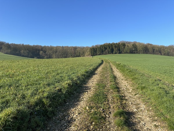 Après le hameau de Barentin, nous montons vers le Massif de Pinon qui sépare la Béthune et la Varenne, avant qu'elles se rejoignent, avec l'Eaulne, pour former l'Arques.
