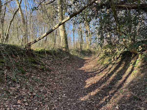 La montée continue après l'entrée dans le bois. Le bois de Pimont fait partie de la forêt domaniale d'Eawy.