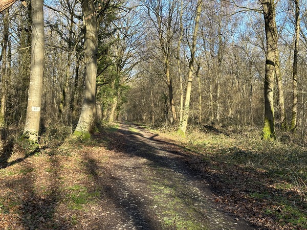 Au sommet, nous suivons le chemin de crête vers le nord-ouest. C'est un large chemin empierré qui traverse le massif dans le sens de la longueur.