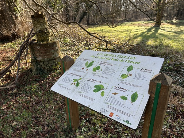 L'aire de pique-nique, encore signalée sur certaines cartes, a disparu. Il faudra se contenter de ce panneau descriptif des arbres du Massif de Pimont.