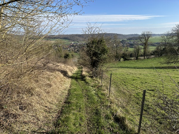 Nous descendons du Massif de Pimont avant d'entrer dans le bois communal de St-Aubin-le-Cauf.