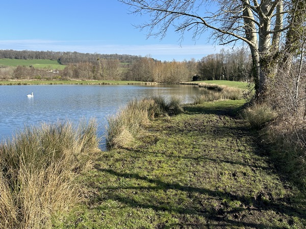 C'est vraiment un passage très agréable. Quelques bancs permettent de se poser pour observer la vie des étangs.