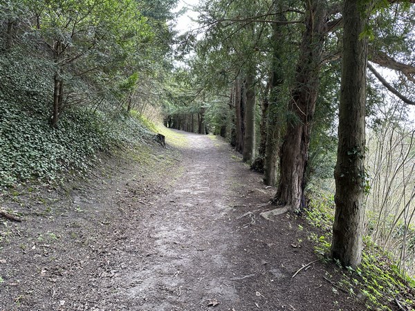 Nous quittons le parc Lacoste pour suivre le délicieux sentier aux Ifs.