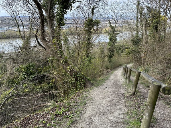 Regard arrière sur la Seine depuis le sentier aux Ifs.