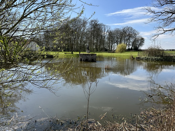 Bassin du Parc de la Mairie.