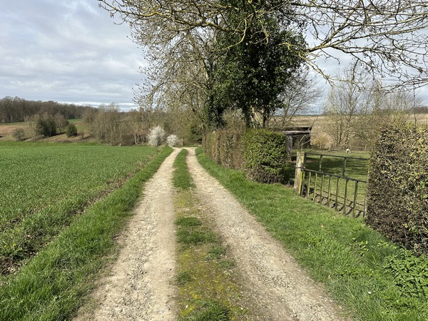 Nous traversons le hameau de Bellevue, et continuons sur ce chemin qu'empruntaient les ouvriers pour descendre par la Ravine jusqu'aux filatures du Robec.