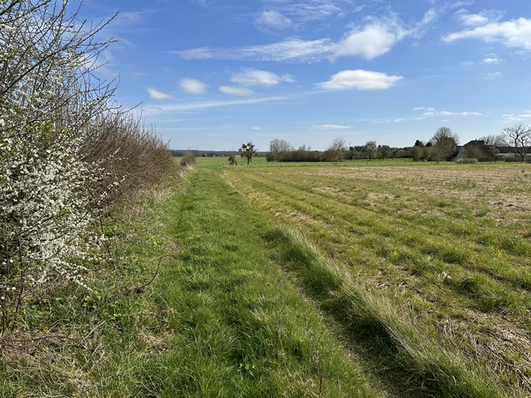 Nous contournons l'ancien village de Quévreville-la-Milon.