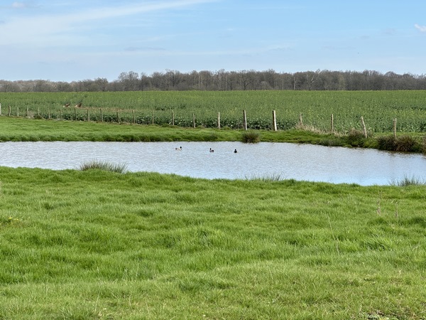 Les yeux ne sont jamais au repos sur ce circuit, il y a toujours quelque chose de charmant à contempler.