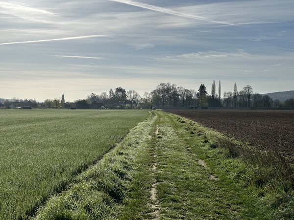 Je retrouve le balisage blanc du circuit, et continue en direction du bourg.