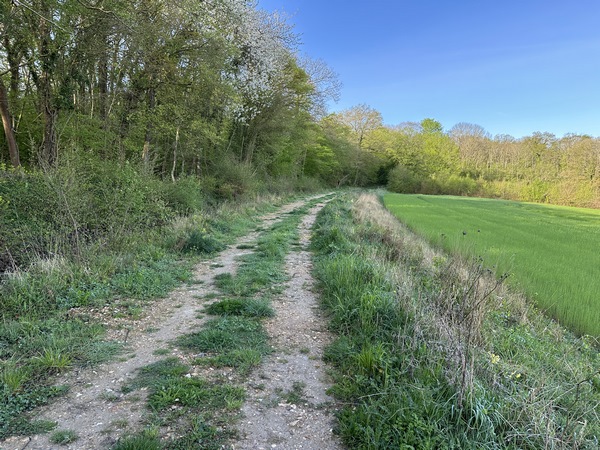 Nous commençons par suivre le chemin qui longe la lisière, en balcon au-dessus de la vallée.