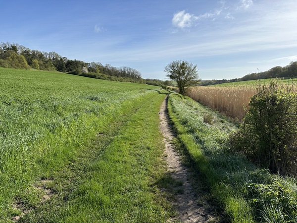 La Réserve Naturelle de la Vallée des Cailles est traversée par une variante du GR22, que nous suivons en direction de Boncourt.