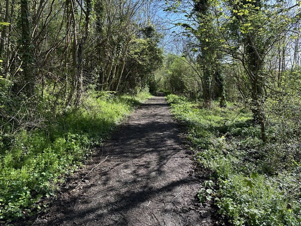 Nous avons rejoint le Chemin de l'Enfer, charmante voie sans issue qui se prolonge en chemin.