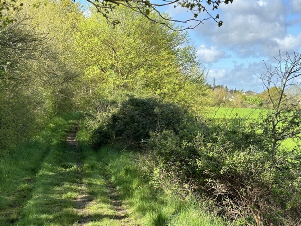 On distingue déjà la flèche de l'église Saint-Cyr.
