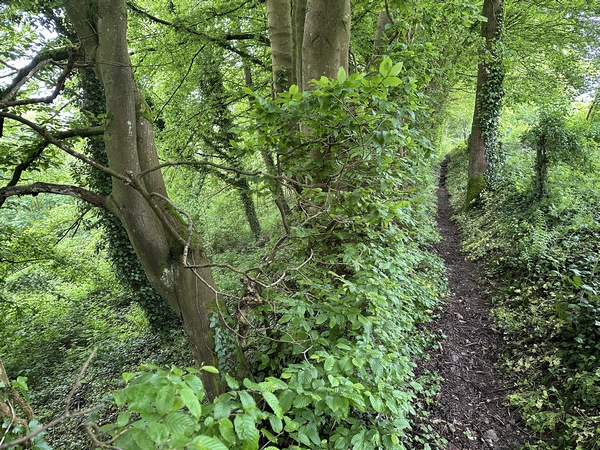 Ce chemin longe le fossé de la butte du Diable. C'est le fossé de la motte féodale du château construit par les comtes d'Evreux, et confié aux sires de Maulévrier. Ce château se situait en bordure de la voie romaine de Caudebec à Arques. Les dernières ruines sont invisibles.&nbsp;