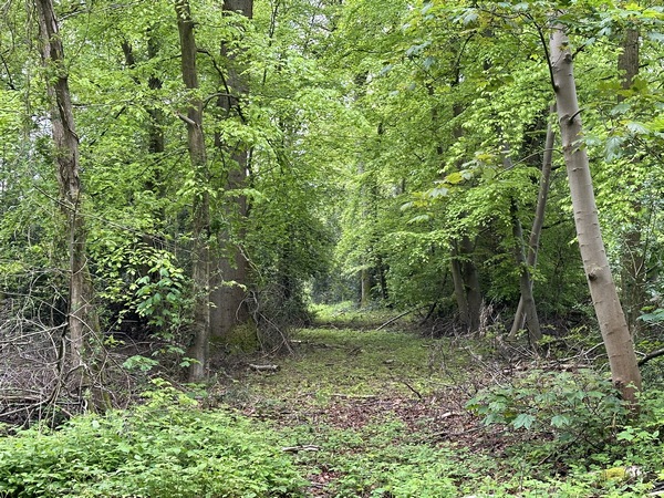 Le chemin de la Côte Saint-Pierre a été un beau chemin, mais il commence à être encombré puisqu'il est désormais un cul-de-sac.
