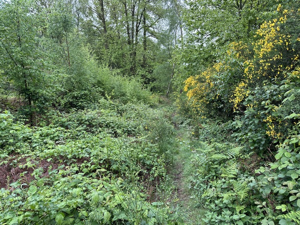 Après une propriété de Courval, à ma droite, je dois prendre ce sentier plus étroit.