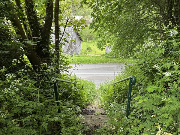 Je quitte, momentanément, la forêt pour descendre dans Sainte-Gertrude. Entre deux escaliers, il faut traverser la D40, peu large mais bien fréquentée à certaines heures.