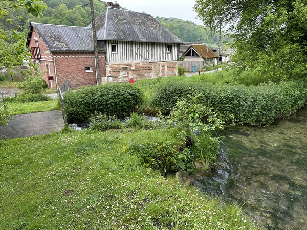 Je vais traverser la rivière Sainte-Gertrude et m'immerger dans les délicieux paysages de cette vallée lovée au cœur de la forêt domaniale.&nbsp;