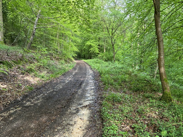 Le chemin monte en pente douce jusqu'au plateau.