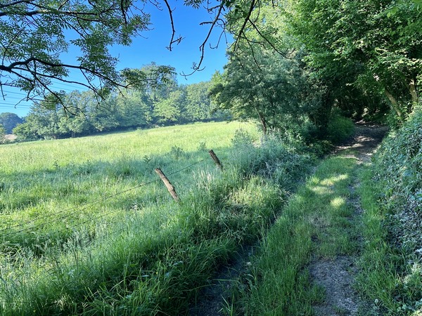 Ce chemin entre dans une partie boisée, le long du bois des Parquets.