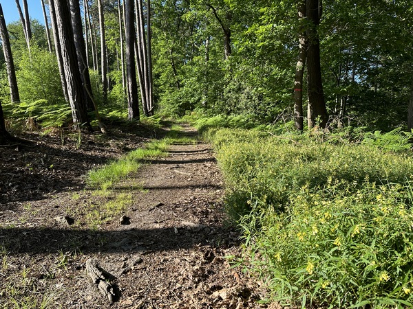 Au premier carrefour de chemins, je tourne en épingle à cheveux pour me diriger vers le hameau de la Vorillonnerie.