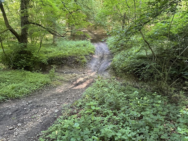 Le chemin traverse ici le Ravin des Sarrasins, dont le nom est plus impressionnant que la réalité, comme on le voit.