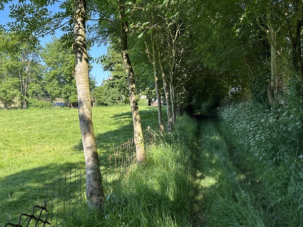On peut distinguer les premières maisons du hameau. Je vais prendre à gauche la rue de la Forge à l'entrée du hameau.