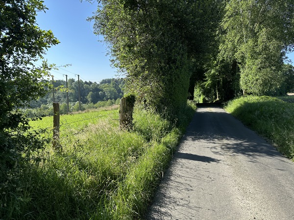 La petite route descend vers le vallon, et remonte de l'autre côté.