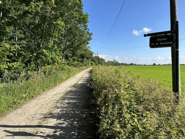 Je quitte la route pour suivre le chemin de la Heutterie, puis celui des Faneuses.