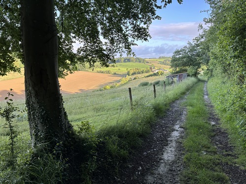 Le chemin de la Côte de Grellemonts est très agréable. Il avance en crête, et ouvre la perspective sur la vallée du Crevon.