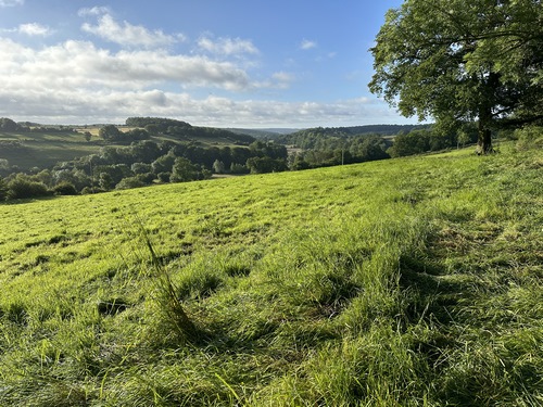 Point de vue sur la vallée du Crevon depuis le chemin de la Vallée de St-Arnoult.