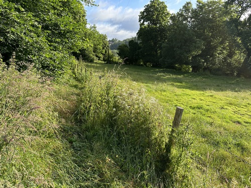 Nous avons les jambes trempées par la rosée matinale des hautes herbes.