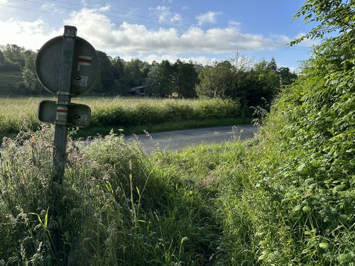 Nous arrivons sur la D12, nous allons la suivre à droite sur quelques mètres, avant de tourner vers le Moulin de St-Arnoult.